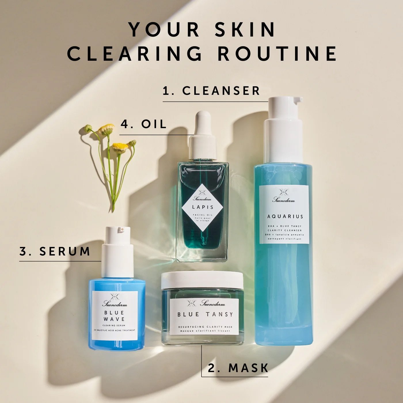 LAPIS – Huile Visage Équilibrante - Image 5